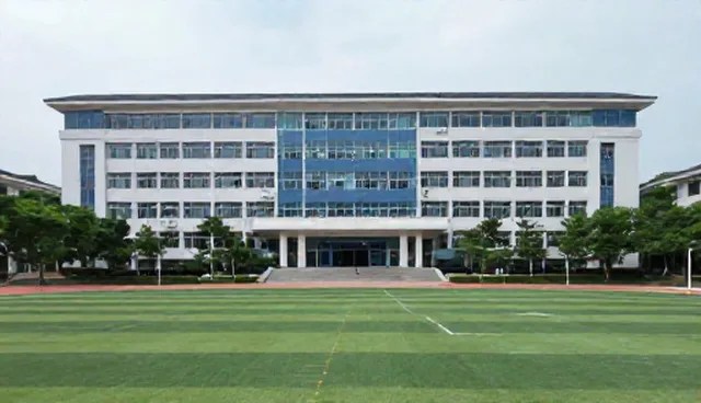 直播代运营服务适用情况与限制分析