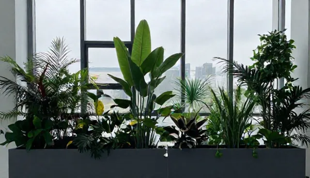 直播代运营:活动策划执行的业务发展趋势